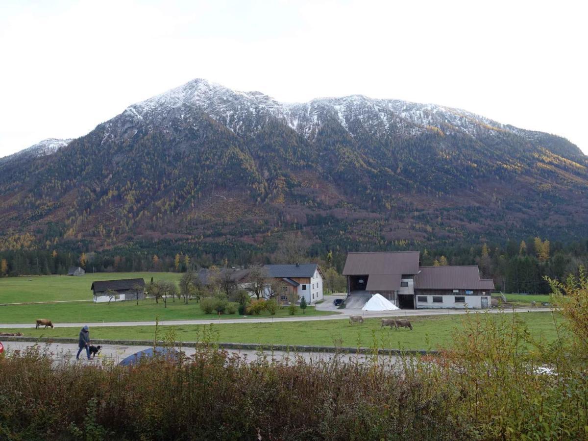 Studio In Bad Aussee/Steiermark 428 Kültér fotó